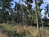 Prodej lesních pozemků 7.836 m2 Louňovice pod Blaníkem, cena 190000 CZK / objekt, nabízí
