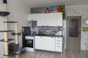Prodej útulného bytu 1+1 po částečné rekonstrukci v Dobřanech, cena 2480000 CZK / objekt, nabízí 
