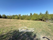 Prodej louky 3 374 m2, Bratřejov, i jako investice pro možnou výstavbu, cena 550000 CZK / objekt, nabízí Buďa reality