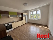 Pronájem, Byt 3+kk, terasa, zahrada, parkovací stání, obec Lažany, cena 15000 CZK / objekt / měsíc, nabízí REALmix s.r.o