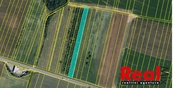Prodej, pozemek - pole, CP 5651m2, obec Hodějice, okr. Vyškov, cena 395000 CZK / objekt, nabízí 