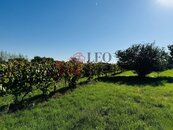 Zahrada/vinice k rekreaci, 1237 m2, cena 300000 CZK / objekt, nabízí 
