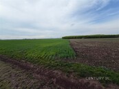 Nabízíme k prodeji půdní pozemek 2936 m2 v idylické obci Vrbovec, cena 374000 CZK / objekt, nabízí CENTURY 21 Dream