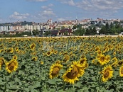 Prodej zahrady, Znojmo, Oblekovice, cena 1800 CZK / m2, nabízí Areality Vysočina s.r.o.