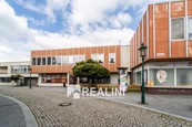 K pronájmu obchodní prostor o velikosti 66m2 v Karviné na ulici Hrnčířská, cena 10560 CZK / objekt / měsíc, nabízí REALini nemovitosti s.r.o.