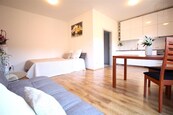 Byt 1+kk k pronájmu v Residenci Křenová, cena 15900 CZK / objekt / měsíc, nabízí
