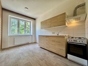 Byt po rekonstrukci 1+1 40 m2, s krásným výhledem a zahradou na ul Viniční 206, cena 16500 CZK / objekt / měsíc, nabízí