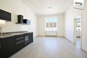 Pronájem bytu po rekonstrukci 2+kk, 55 m2 ul. Hybešova 47, cena 18000 CZK / objekt / měsíc, nabízí 