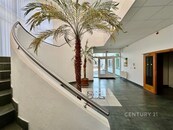 Kancelářské prostory s částečným vybavením 153 m2 na ul. Franzova 65, Brno Maloměřice, cena 45000 CZK / objekt / měsíc, nabízí CENTURY 21 All Inclusive Estates