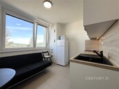 Pronájem bytu 1+1, 32 m2, ul. Dubová, Jundrov, cena 15000 CZK / objekt / měsíc, nabízí 