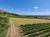 Prodej zemědělského pozemku 15 817 m2, Klentnice - Pálava , cena 1100000 CZK / objekt, nabízí CENTURY 21 All Inclusive Estates