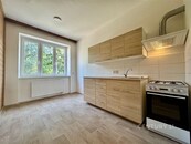 Byt po rekonstrukci 1+1 40 m2, s krásným výhledem a zahradou na ul Viniční 206, cena 18000 CZK / objekt / měsíc, nabízí 