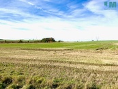 Prodej, Pozemky pro komerční výstavbu, 1354 m2 - Želetava - Šašovice, cena 250000 CZK / objekt, nabízí 