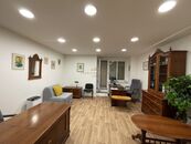 Prodej, Byt 1+kk, Praha 3