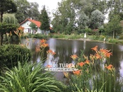 Prodám rodinný dům 100 m2, Tochovice - Hořejany, cena 12800000 CZK / objekt, nabízí 