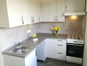 Podnájem bytu 1+1 39 m2, ul. Lužická 498/7, Ostrava - Výškovice, cena 10000 CZK / objekt / měsíc, nabízí 