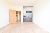 Pronájem bytu 1+kk, Halasovo náměstí, Lesná, 12.800 Kč/měs, 22 m2, cena 12800 CZK / objekt / měsíc, nabízí 