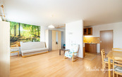 Pronájem bytu 1+kk, Komenského, Šestajovice u Prahy, 16000 Kč/měs, 47 m2, cena 16000 CZK / objekt / měsíc, nabízí 