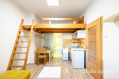Pronájem bytu garsonka, Přístavní, Holešovice, 14.000 Kč/měs, 20 m2, cena 14000 CZK / objekt / měsíc, nabízí Ideální nájemce