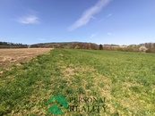 Prodej pole 79.787 m2, Dolní Habartice, cena 39 CZK / m2, nabízí 