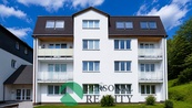 Pronájem byty 1+1, 55 m2 - Planá, cena 12000 CZK / objekt / měsíc, nabízí 