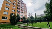 Prodej bytu 3+1, 70 m2, OV Vyškov, cena 4725000 CZK / objekt, nabízí