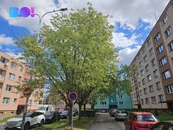 Pronájem, Byt 2+1, Ostrava, cena 10000 CZK / objekt / měsíc, nabízí 