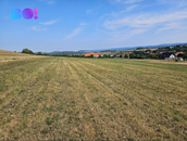 Prodej, Louka, pastvina, Málkov, cena cena v RK, nabízí BO! reality a finance s.r.o.