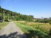 Prodej, Pozemek pro stavbu RD, bytů, Radějov, cena 3200000 CZK / objekt, nabízí 