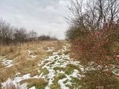 Prodej, Zahrada, Cholina, cena 680000 CZK / objekt, nabízí REALITNÍ AGENTURA PRORADOST