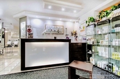 Prodej, Prostory a objekty pro obchod a služby, Praha 3, cena 8808550 CZK / objekt, nabízí REALITY PRORADOST