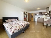 Pronájem krásného bytu 1+kk, 33 m2, Plzeň-Jižní Předměstí, cena 14200 CZK / objekt / měsíc, nabízí 