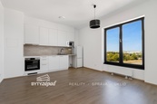 Pronájem bytu 1+kk velikosti 25 m2 nacházející se ve 3.NP novostavby Triangl Living Park, Plzeň, cena 10300 CZK / objekt / měsíc, nabízí BYTY Západ, s.r.o.