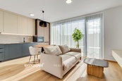 Pronájem penthousu 1+kk velikosti 29 m2, s terasou 8 m2, sklepní kójí a parkovacím stáním v 5.NP budovy v Triangl Living Parku, Plzeň, cena 16400 CZK / objekt / měsíc, nabízí 