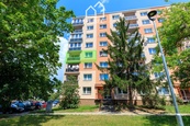 Prostorný byt 4+1 s lodžií a výhledem do parku - Plzeň Doubravka, cena 6250000 CZK / objekt, nabízí 