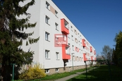 Pronájem, Pokoj, Olomouc