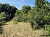 Prodej rekreačního pozemku 475 m2 v obci Silůvky, cena 770000 CZK / objekt, nabízí David Raus realitní služby