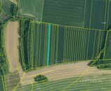 Olešník, zemědělské pozemky, 5 401,85 m2, cena 216074 CZK / objekt, nabízí CENTURY 21 Bonus Brno