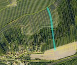 Prodej ideálních spoluvlastnických podílů na zemědělských pozemcích v k. ú. Nemotice, okres Vyškov