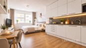 Pronájem bytu 1+kk s balkonem a krytým parkovacím stáním, Brno - Křenová