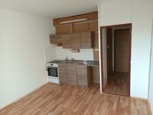 Pronájem, 1+1, OV, 7.podlaží, 35 m2, ulice J.Plachty, Ústí nad Labem, cena 8500 CZK / objekt / měsíc, nabízí 