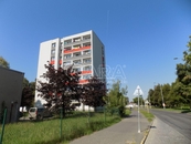 Pronájem, Byt 1+1, Pardubice, cena 10400 CZK / objekt / měsíc, nabízí