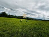 Prodej, smíšený pozemek, 9566 m2, OV, Blatno, cena 8100000 CZK / objekt, nabízí
