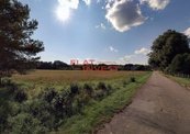 Prodej investičního pozemku 15 968 m2, Novosedly nad Nežárkou - Mláka, cena 8700000 CZK / objekt, nabízí 