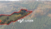 Rekreační a školící středisko na rozlehlém pozemku, 35 948 m2 - Černovice, Blansko, cena 16990000 CZK / objekt, nabízí 