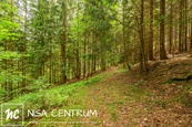 Prodej louky uprostřed lesa 1 867 m2 ve Víchové nad Jizerou, cena 260 CZK / m2, nabízí