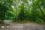 Prodej lesa 5 031 m2, cena 370 CZK / m2, nabízí NISA CENTRUM reality