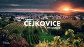 Zemědělská půda, prodej, Čejkovice, Hodonín, cena 10104200 CZK / objekt, nabízí 