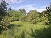 Třebíč kraj Vysočina pronájem zahrady na vesnici, cena 995 CZK / objekt / měsíc, nabízí Soukromá inzerce z DBP.cz