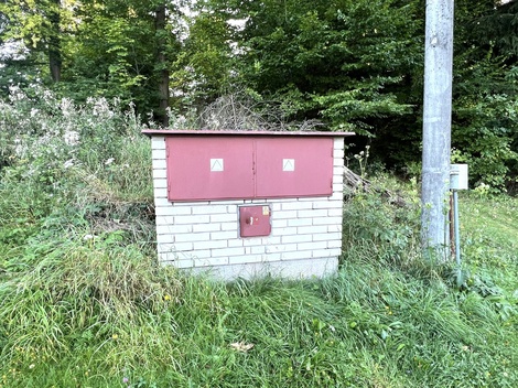 foto05_11458734_217pc.jpg